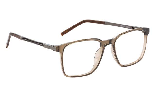 Bocci 498