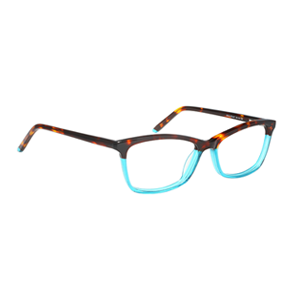 Bocci 379