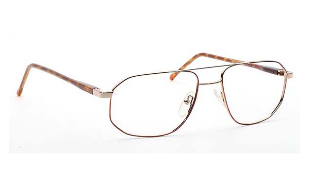 03-Tortoise Gold